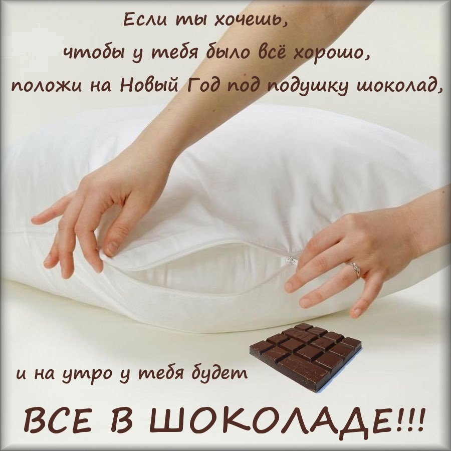 zizn v sokolade