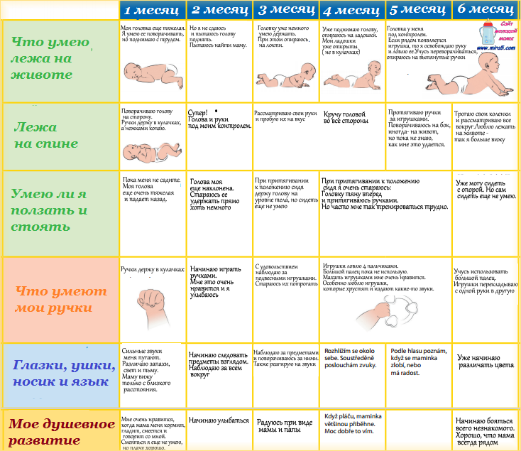 razvitie 1-6